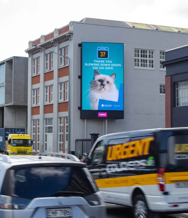 Live-your-Pet-Life-3