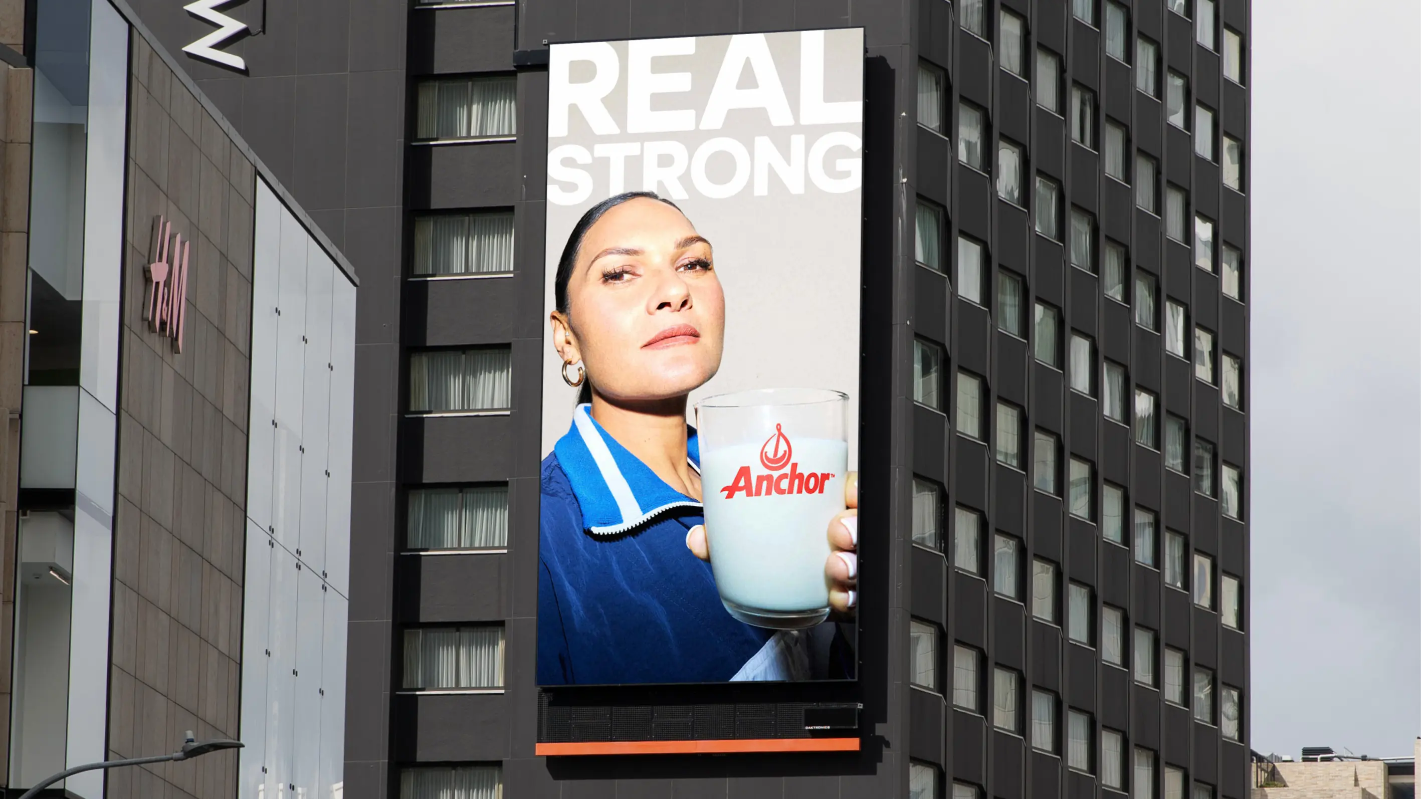 Anchor Real Milk Real Good OOH6